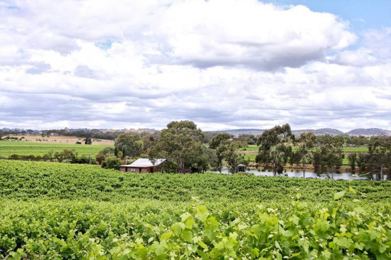 Stonewell Cottages & Vineyards Retreat Barossa Valley Екстер'єр фото